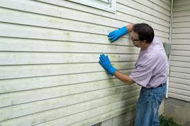 Affordable Siding Repair and Maintenance Services in Whitmire, SC